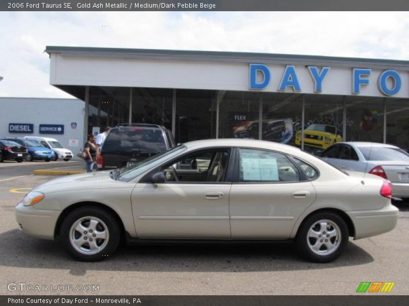 Gold Ash Metallic / Medium/Dark Pebble Beige 2006 Ford Taurus SE