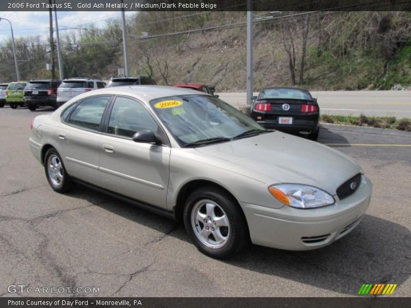Gold Ash Metallic / Medium/Dark Pebble Beige 2006 Ford Taurus SE