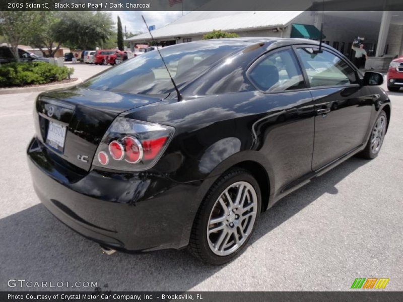 Black Sand Pearl / Dark Charcoal 2009 Scion tC