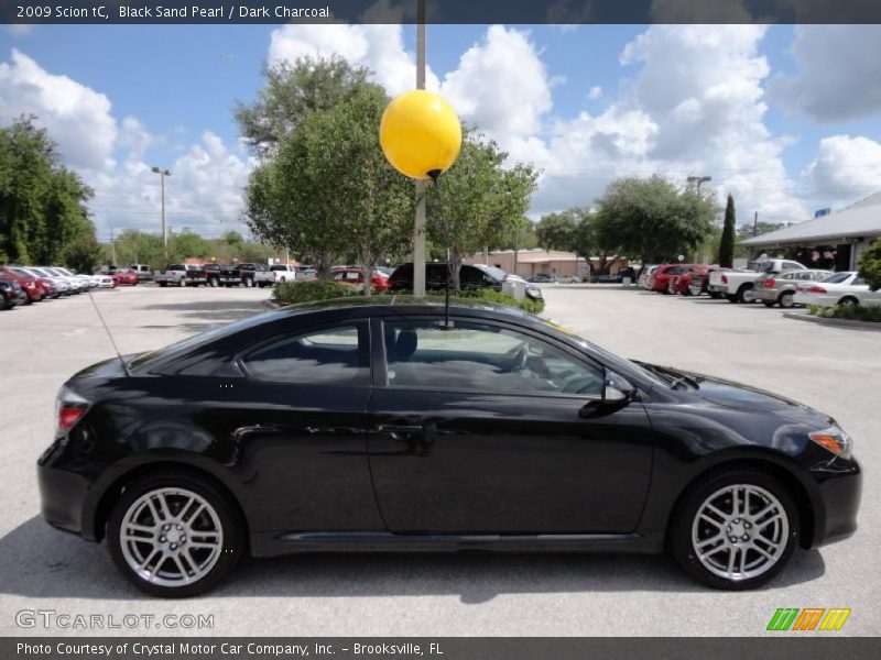 Black Sand Pearl / Dark Charcoal 2009 Scion tC