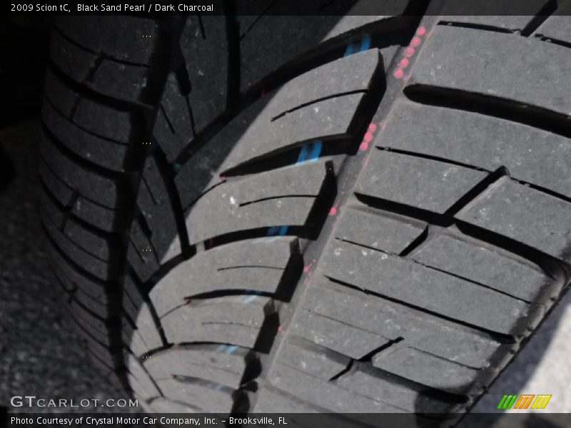 Black Sand Pearl / Dark Charcoal 2009 Scion tC