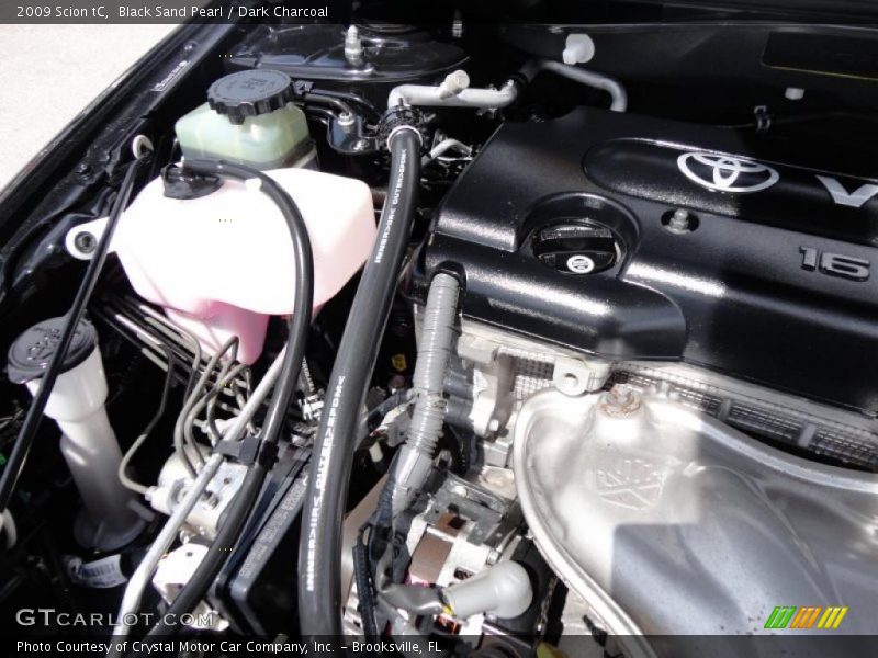 Black Sand Pearl / Dark Charcoal 2009 Scion tC