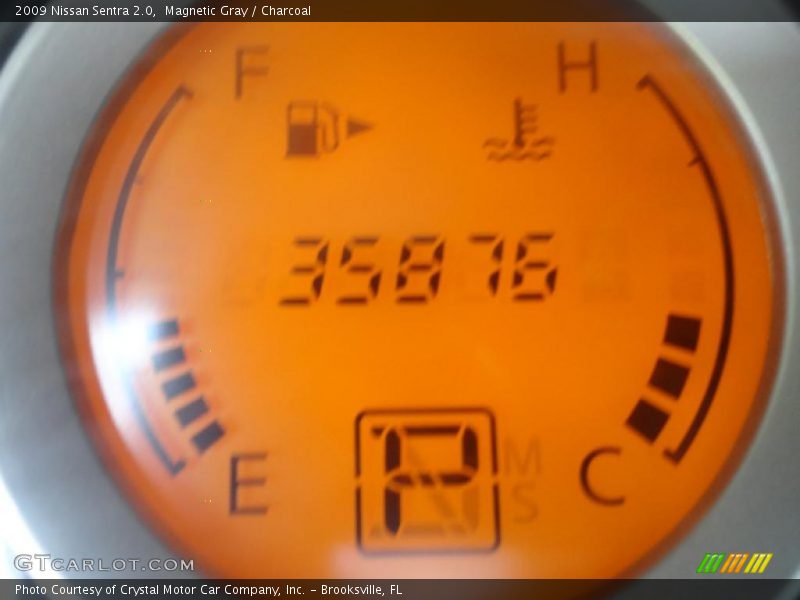Magnetic Gray / Charcoal 2009 Nissan Sentra 2.0