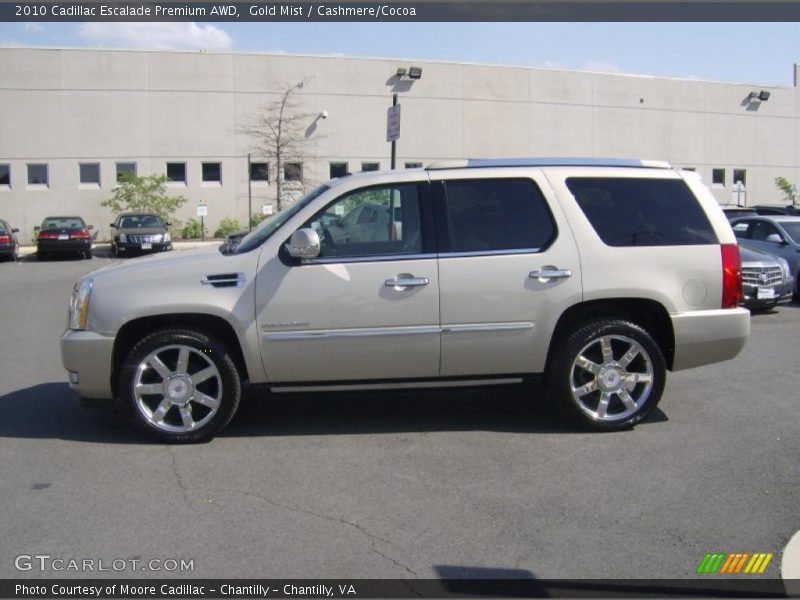 Gold Mist / Cashmere/Cocoa 2010 Cadillac Escalade Premium AWD