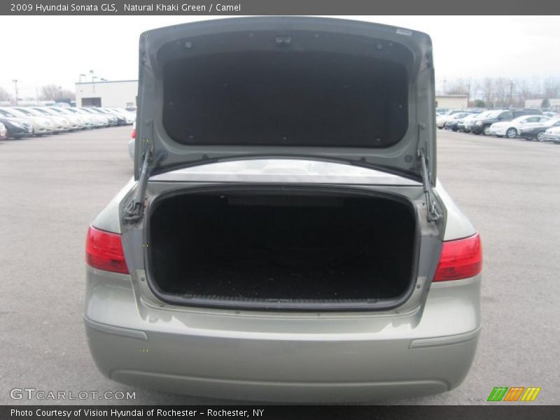 Natural Khaki Green / Camel 2009 Hyundai Sonata GLS