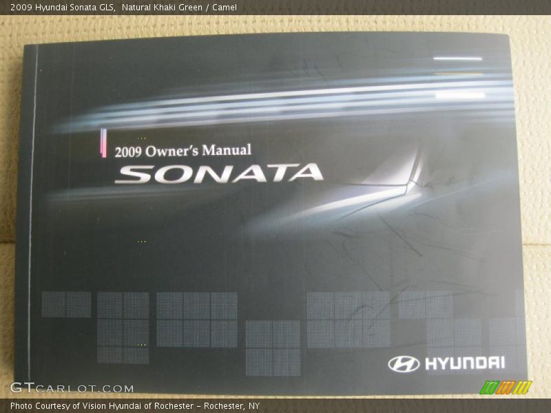 Natural Khaki Green / Camel 2009 Hyundai Sonata GLS
