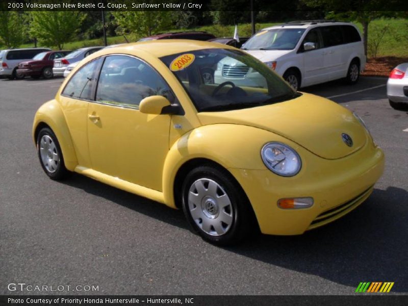 Front 3/4 View of 2003 New Beetle GL Coupe
