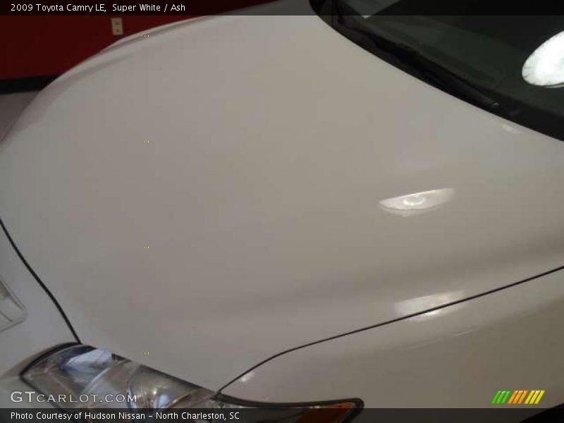Super White / Ash 2009 Toyota Camry LE