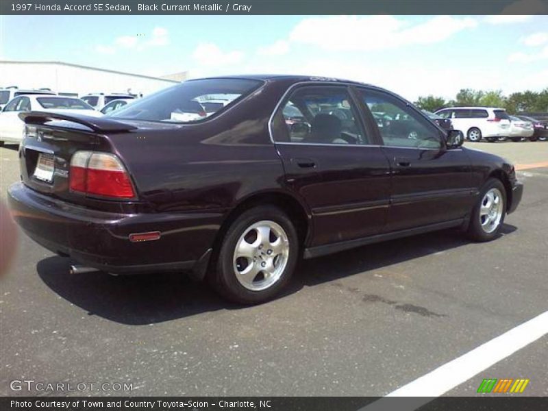  1997 Accord SE Sedan Black Currant Metallic