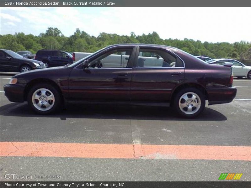 Black Currant Metallic / Gray 1997 Honda Accord SE Sedan