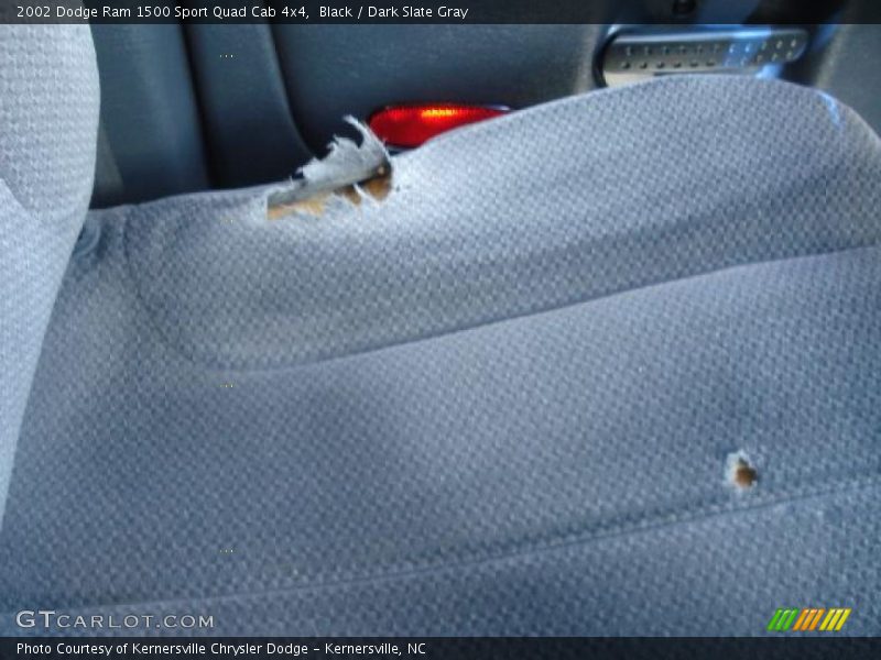 Black / Dark Slate Gray 2002 Dodge Ram 1500 Sport Quad Cab 4x4
