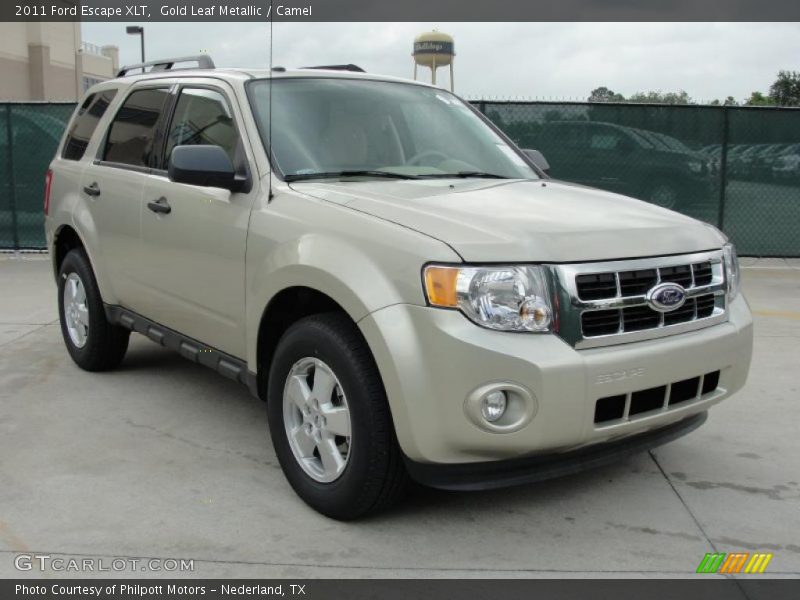 Gold Leaf Metallic / Camel 2011 Ford Escape XLT