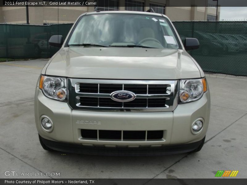 Gold Leaf Metallic / Camel 2011 Ford Escape XLT
