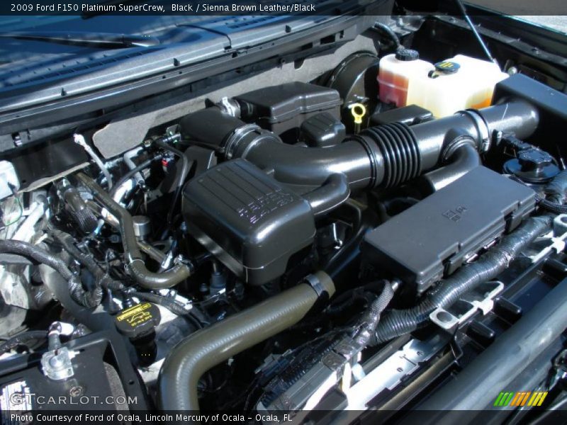 Black / Sienna Brown Leather/Black 2009 Ford F150 Platinum SuperCrew