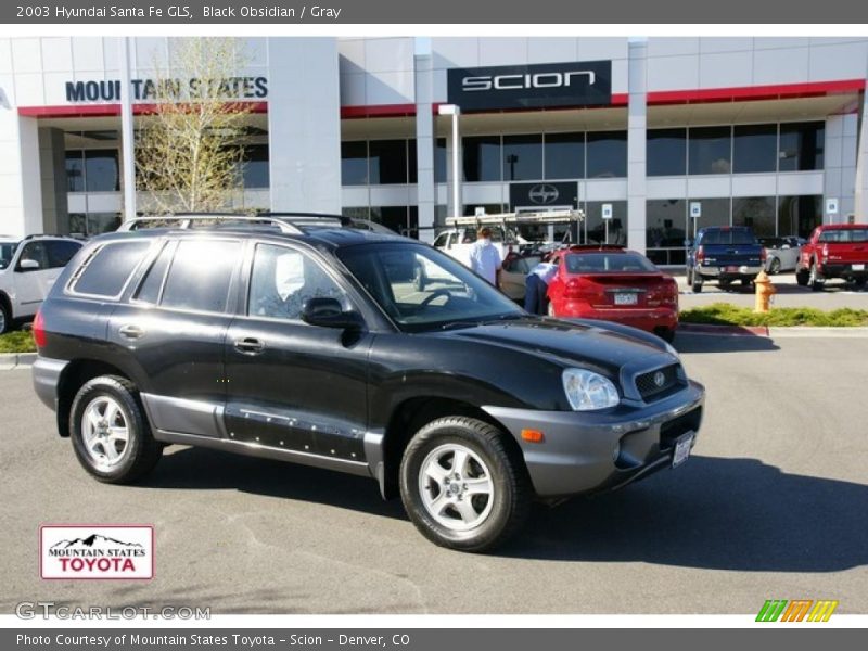 Black Obsidian / Gray 2003 Hyundai Santa Fe GLS