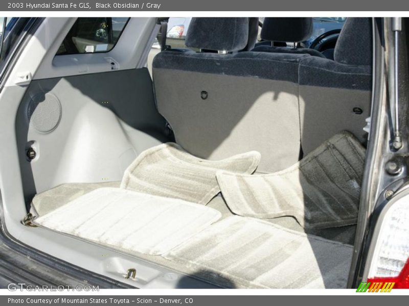 Black Obsidian / Gray 2003 Hyundai Santa Fe GLS