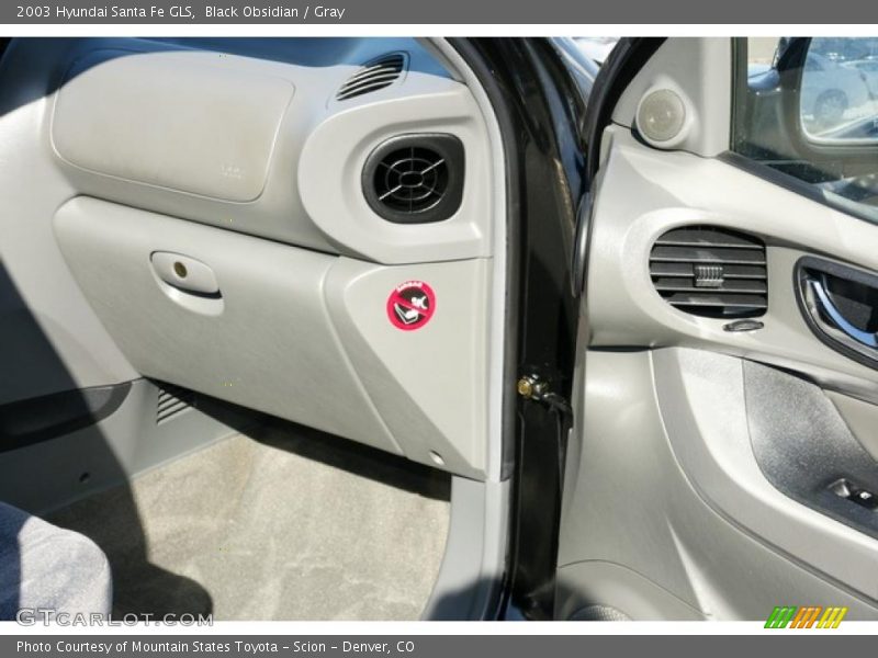 Black Obsidian / Gray 2003 Hyundai Santa Fe GLS