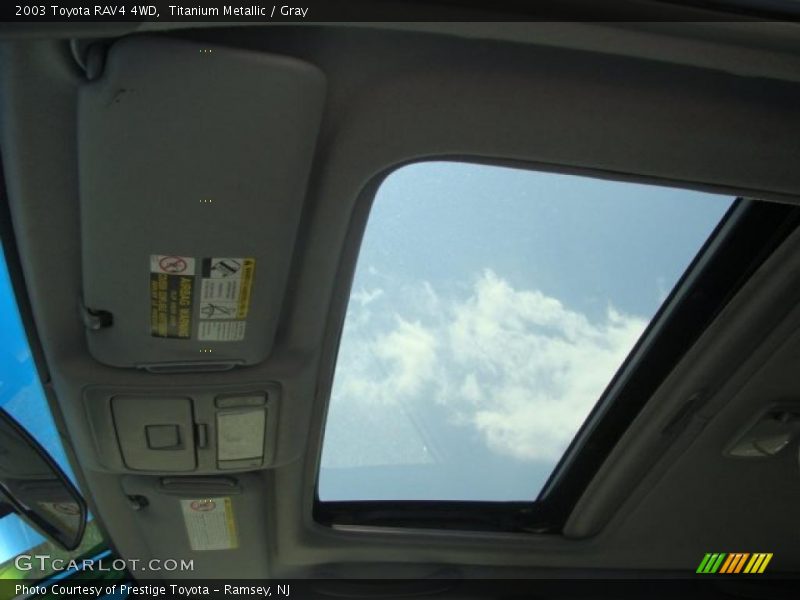 Titanium Metallic / Gray 2003 Toyota RAV4 4WD