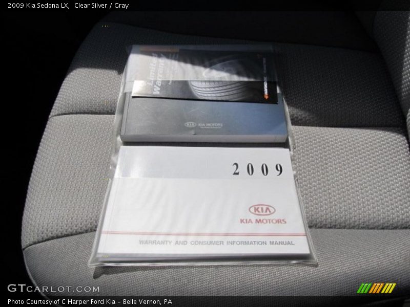 Clear Silver / Gray 2009 Kia Sedona LX