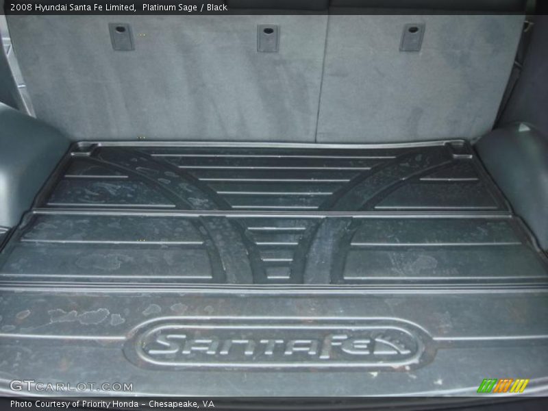 Platinum Sage / Black 2008 Hyundai Santa Fe Limited