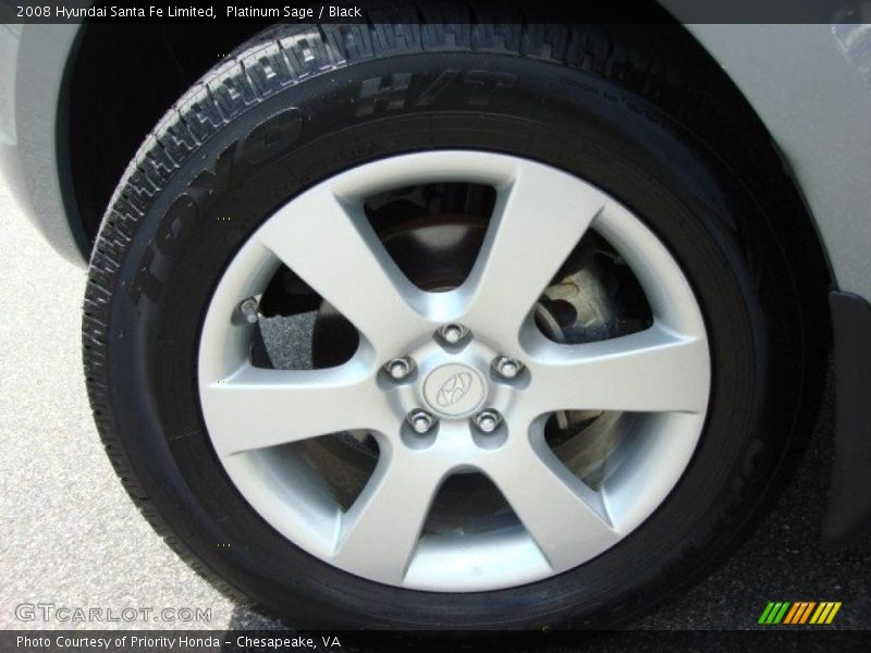 Platinum Sage / Black 2008 Hyundai Santa Fe Limited
