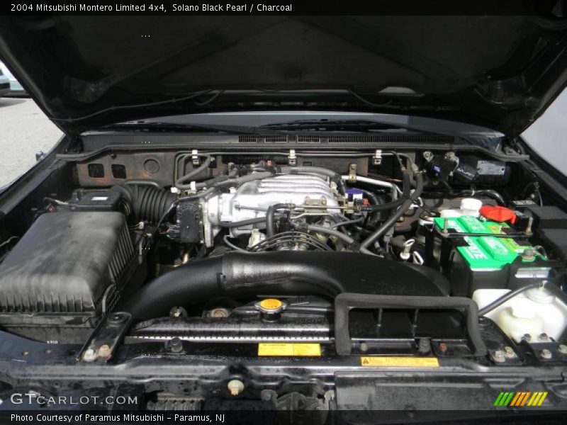 Solano Black Pearl / Charcoal 2004 Mitsubishi Montero Limited 4x4