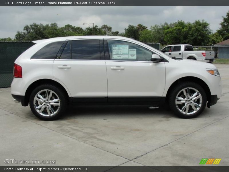 White Platinum Tri-Coat / Charcoal Black 2011 Ford Edge Limited