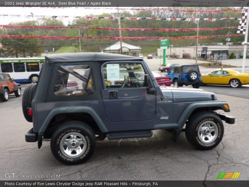 Steel Blue Pearl / Agate Black 2001 Jeep Wrangler SE 4x4