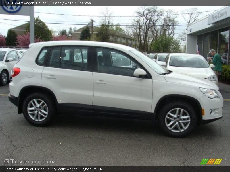 Candy White / Charcoal 2011 Volkswagen Tiguan S