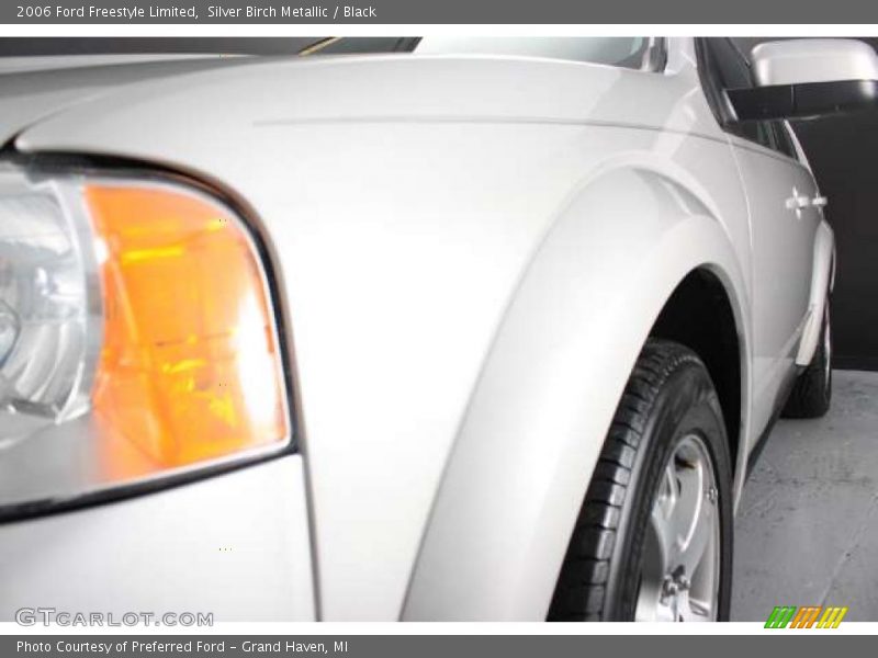 Silver Birch Metallic / Black 2006 Ford Freestyle Limited