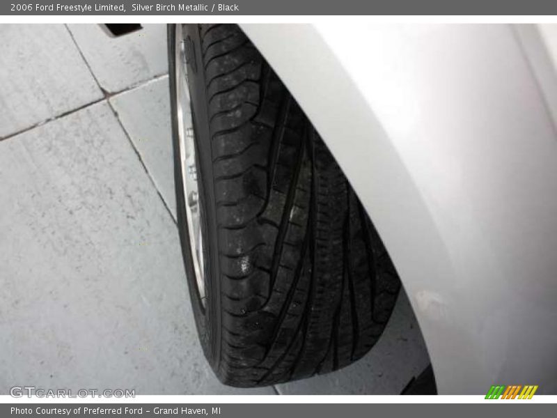 Silver Birch Metallic / Black 2006 Ford Freestyle Limited