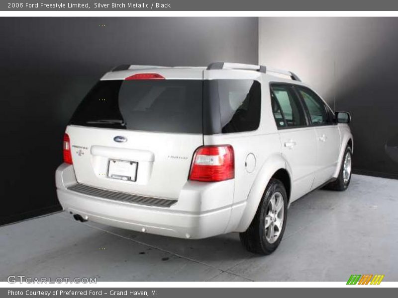 Silver Birch Metallic / Black 2006 Ford Freestyle Limited