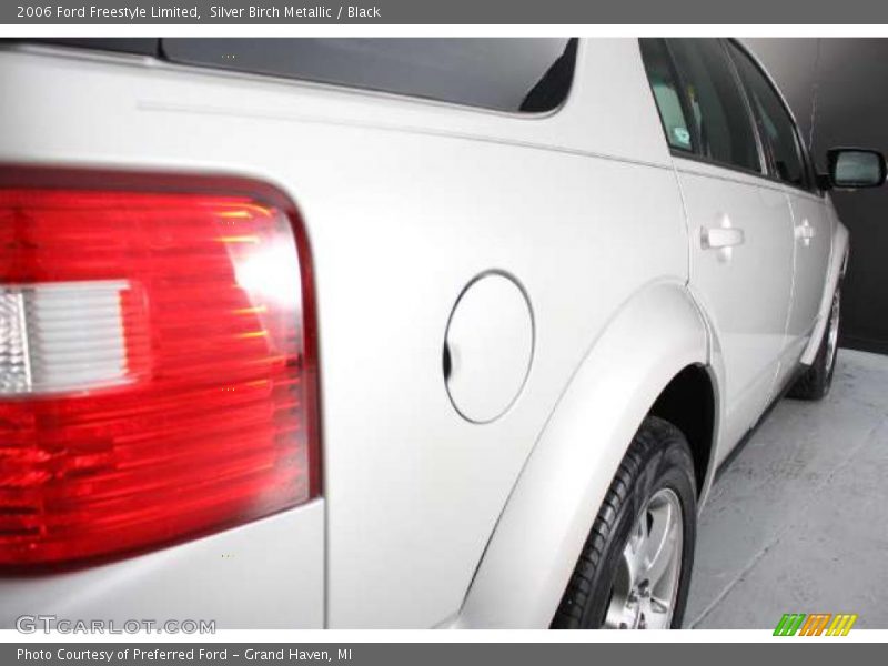 Silver Birch Metallic / Black 2006 Ford Freestyle Limited