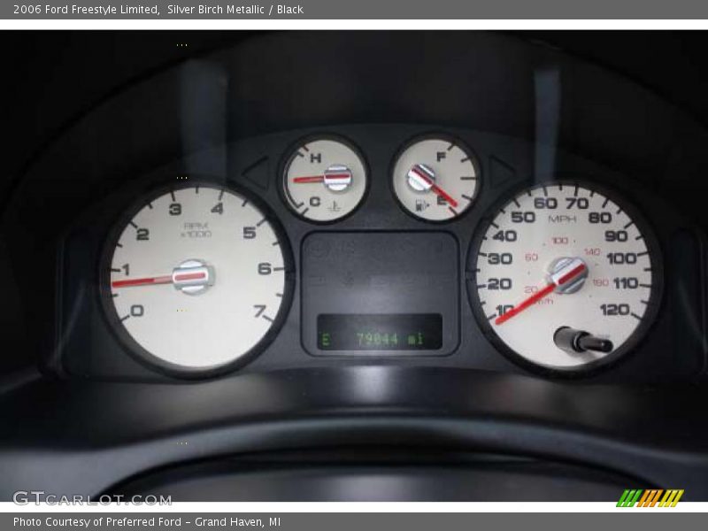 Silver Birch Metallic / Black 2006 Ford Freestyle Limited