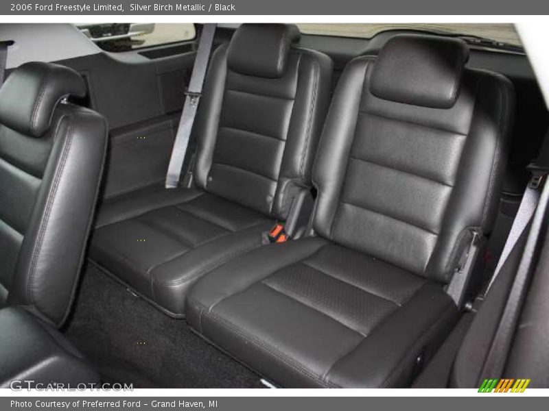Silver Birch Metallic / Black 2006 Ford Freestyle Limited