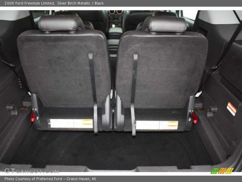 Silver Birch Metallic / Black 2006 Ford Freestyle Limited
