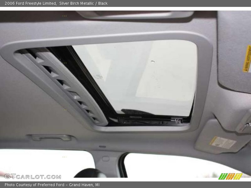 Silver Birch Metallic / Black 2006 Ford Freestyle Limited