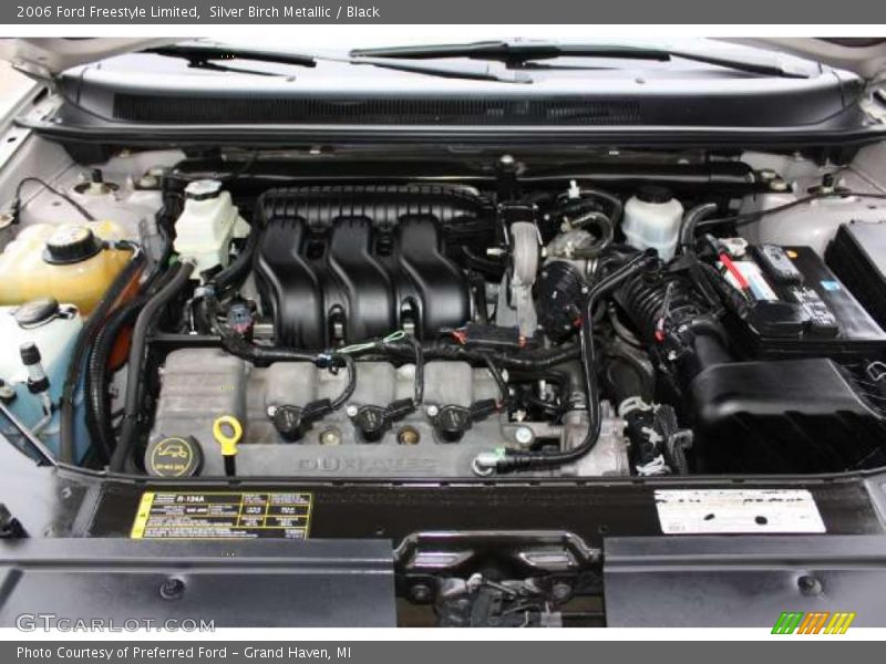 Silver Birch Metallic / Black 2006 Ford Freestyle Limited