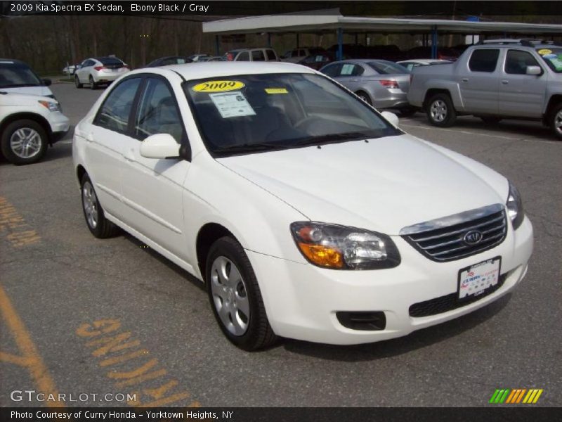 Ebony Black / Gray 2009 Kia Spectra EX Sedan