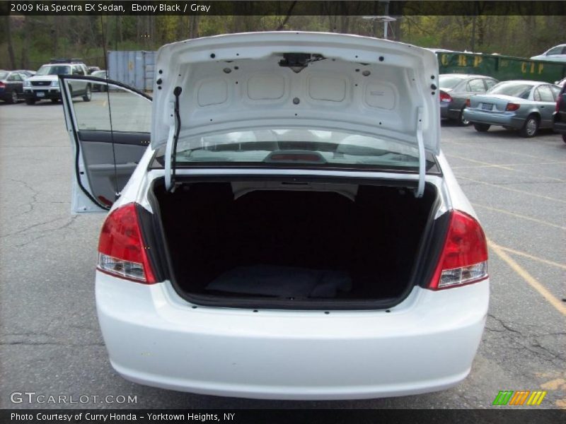 Ebony Black / Gray 2009 Kia Spectra EX Sedan
