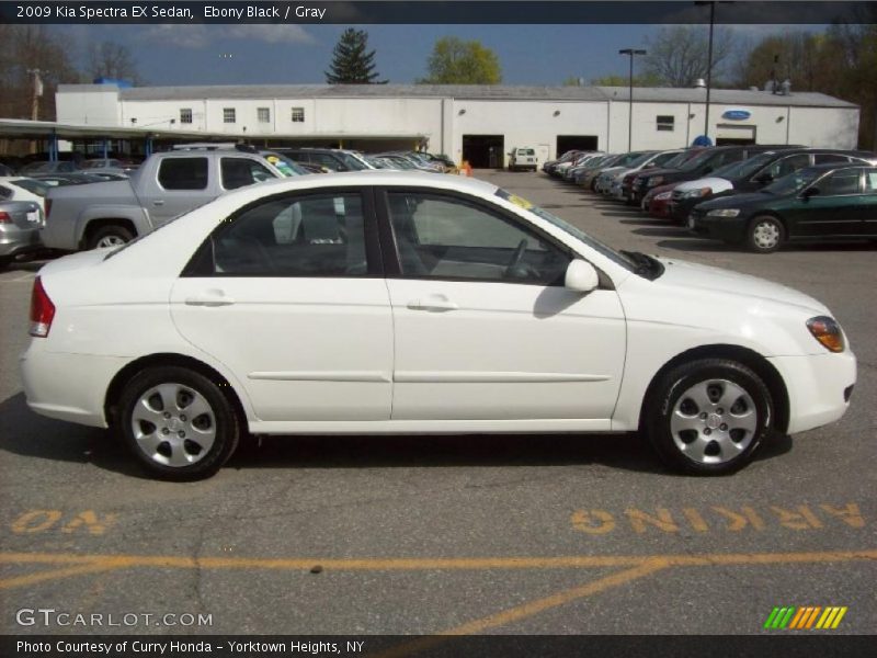 Ebony Black / Gray 2009 Kia Spectra EX Sedan