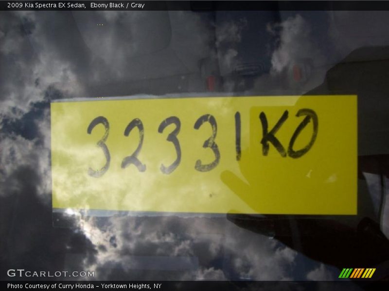 Ebony Black / Gray 2009 Kia Spectra EX Sedan