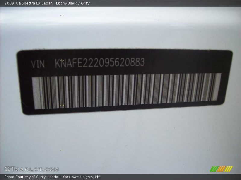 Ebony Black / Gray 2009 Kia Spectra EX Sedan