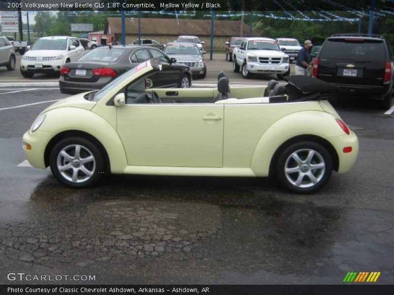  2005 New Beetle GLS 1.8T Convertible Mellow Yellow