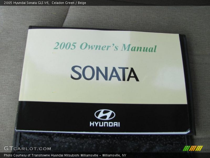 Celadon Green / Beige 2005 Hyundai Sonata GLS V6