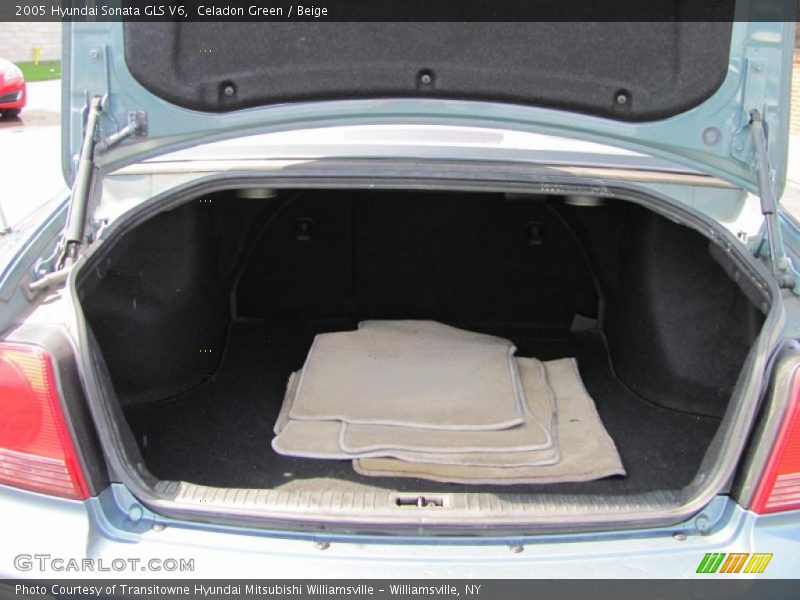 Celadon Green / Beige 2005 Hyundai Sonata GLS V6