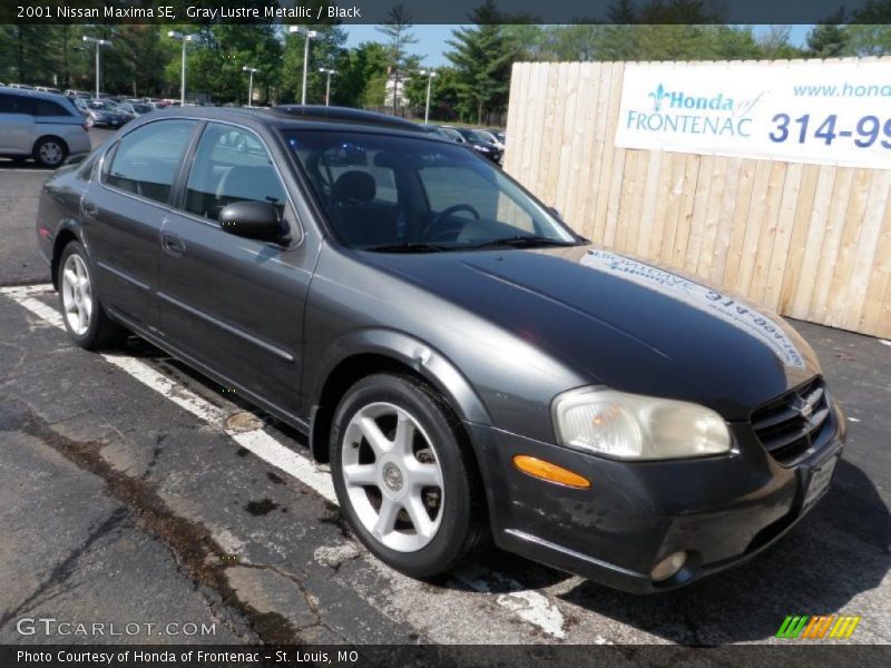 Gray Lustre Metallic / Black 2001 Nissan Maxima SE