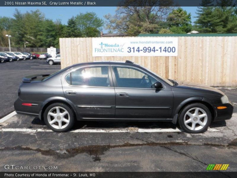 Gray Lustre Metallic / Black 2001 Nissan Maxima SE