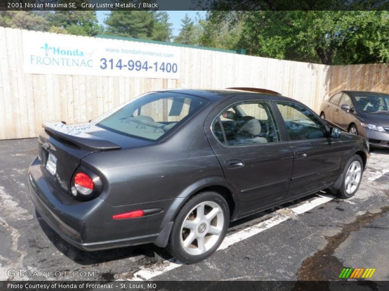 Gray Lustre Metallic / Black 2001 Nissan Maxima SE