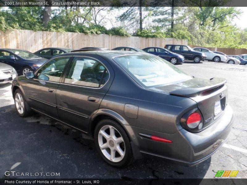 Gray Lustre Metallic / Black 2001 Nissan Maxima SE